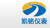 金湖凯铭仪表有限公司LOGO